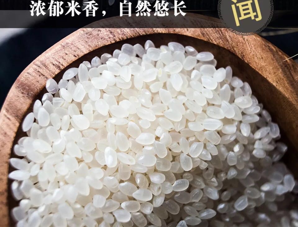 指天问道老子图片